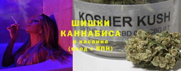 сатива Алексеевка