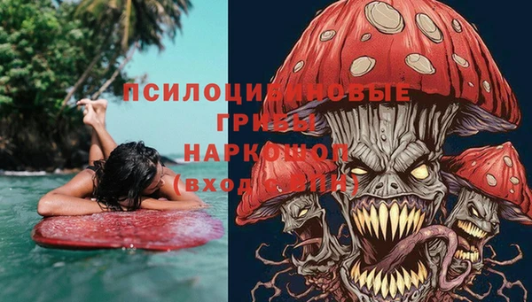 сатива Алексеевка