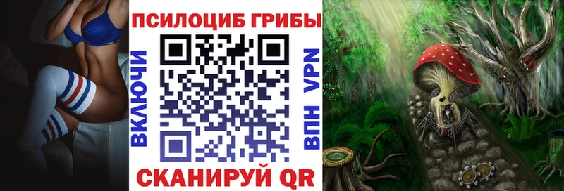 Галлюциногенные грибы прущие грибы Сольвычегодск